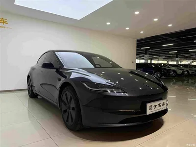 2025 Tesla Model 3 Model Rear-Wheel Drive Edition, фото 4, лот 10346769