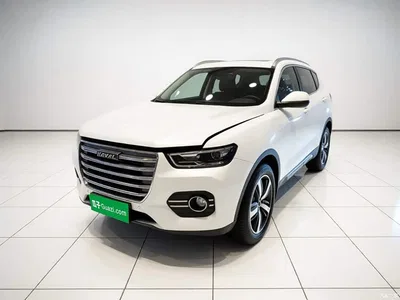 2017 Haval H6 Red Label 2.0T Auto 2WD Smart, фото 1, лот 11419940