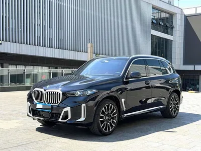 2023 BMW X5 xDrive 40Li M Sport Black Night Package, фото 1, лот 10463169