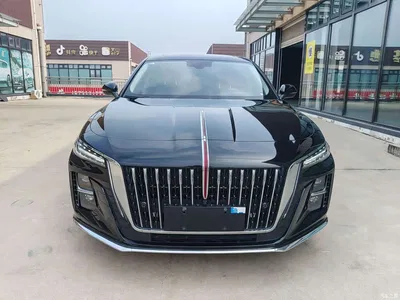 2025 Hongqi H5 1.5T DCT Flag Rhythm 500,000 Units Memorial Edition, фото 3, лот 10288664