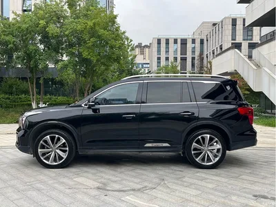 2021 GAC Trumpchi Trumpchi GS8 390T 2WD Luxury Smart Connect Edition (7-seater), фото 3, лот 10419508