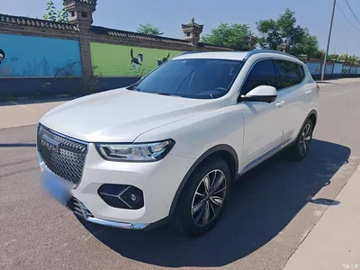 2021 Haval H6 1.5GDIT Automatic Champion Edition, фото 1, лот 10286337