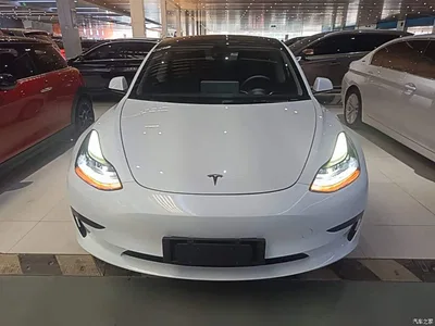 2021 Tesla Model 3 Standard Range Rear-Wheel Drive Upgrade, фото 3, лот 10369449