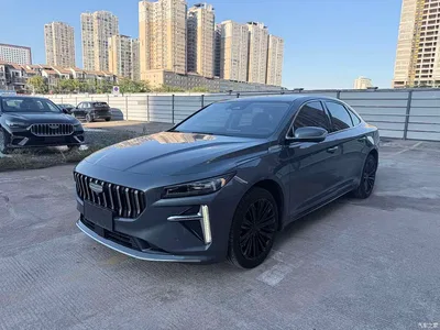 2024 Geely Xing Rui Zhiqing 1.5TD Celestial Palace Edition, фото 1, лот 11585071