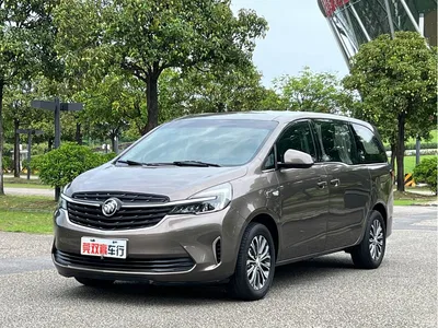 2022 Buick GL8 Land Business Class 652T Comfort, фото 1, лот 10250565