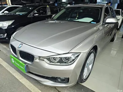 2016 BMW 3 Series 320Li Progressive, фото 2, лот 10457717