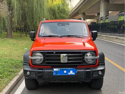 2024 Tank 300 2.0T 3rd Anniversary Limited, фото 2, лот 11241244