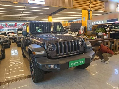 2021 Jeep Wrangler 2.0T Rubicon Four-Door, фото 4, лот 10295338