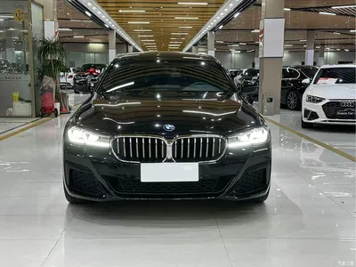 2021 BMW 5 Series 530Li Leading M Sport Package, фото 2, лот 11530580