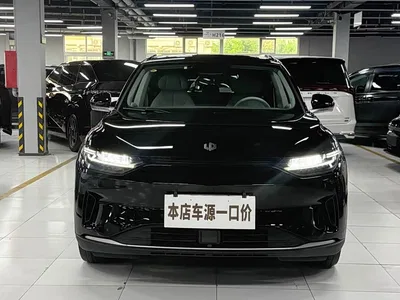 2021 Leapmotor C11 Smart Edition 510, фото 2, лот 10511859