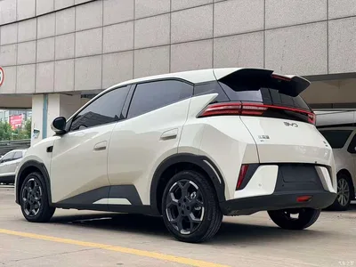 2025 BYD Seagull Smart Drive Edition 305km Freedom Version, фото 4, лот 11132653