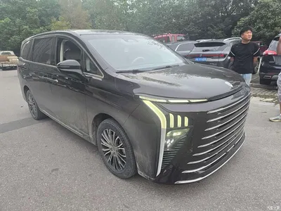 2024 Dongfeng Starlight V9 1.5TD 200km Chinese Knot Series Luxury, фото 2, лот 11146489