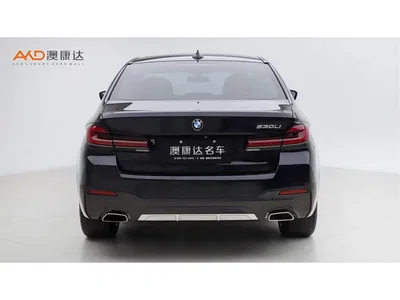 2022 BMW 5 Series Facelift II 530Li Premium Package M Sport, фото 4, лот 11566238