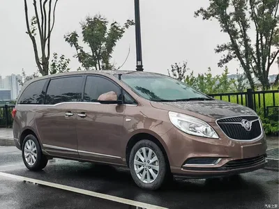 2018 Buick GL8 28T Luxury Model China VI, фото 3, лот 10246075