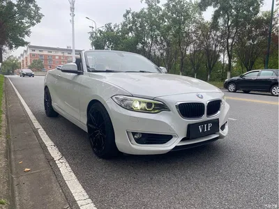 2015 BMW 2 Series (Import) 218i Convertible Coupe, фото 3, лот 11249135