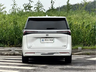 2025 Buick GL8, фото 4, лот 10245527