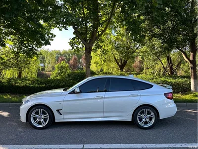 2020 BMW 3 Series GT 320i M Sport Package, фото 4, лот 10473657