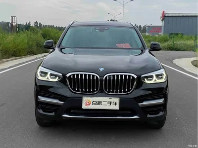 2021 BMW X3 xDrive25i Luxury Package, фото 2, лот 11179774