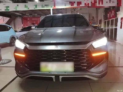 2024 BYD Song Pro New Energy Glory Edition DM-i 71KM Pilot, фото 3, лот 10624808