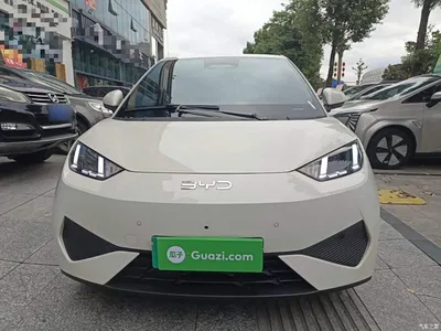 2025 BYD Seagull Smart Drive Edition 305km Freedom Version, фото 3, лот 10830324