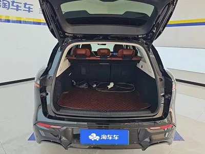2024 Voyah Auto VOYAH FREE Ultra Long Range Intelligent Driving Edition, фото 4, лот 10828179