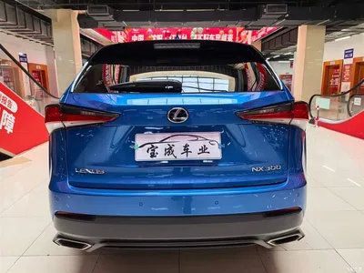 2018 Lexus NX Model 300 AWD Fengshang Edition, фото 4, лот 10315338