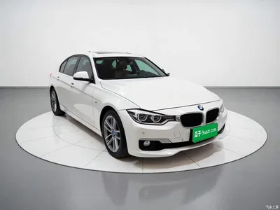 2016 BMW 3 Series 320Li Progressive, фото 3, лот 11089591