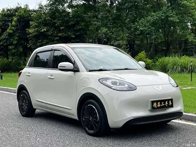 2023 Wuling Motors Wuling Bingo 333km Quick Enjoy Version, фото 3, лот 10354879
