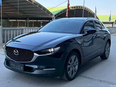 2022 Mazda CX-30 2.0L Automatic Excellence Joy Model, фото 1, лот 10324872