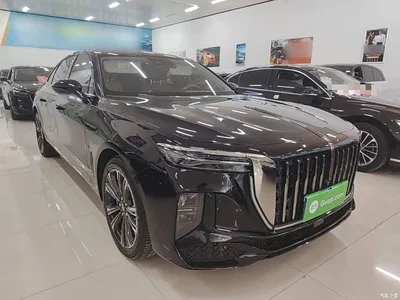 2024 Hongqi H9 2.0T Qi Enjoy Private Fashion Edition, фото 4, лот 10289290