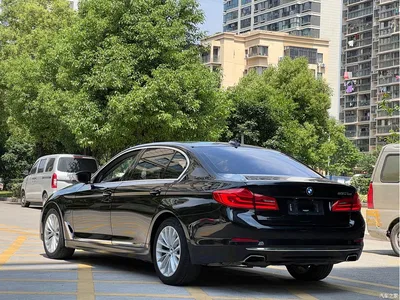 2020 BMW 5 Series New Energy 530Le Luxury Package, фото 4, лот 10474366