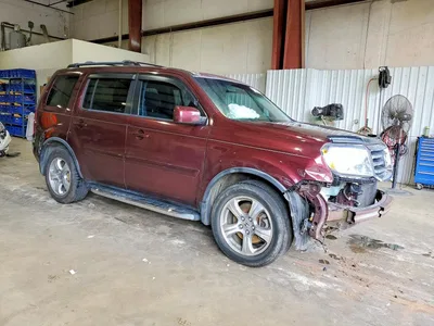 2014 HONDA PILOT EXLN, фото 4, лот 10720162
