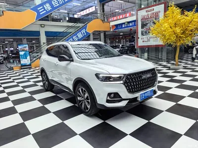 2023 Haval H6 National Trend Edition 1.5T Automatic Champion, фото 2, лот 10298685