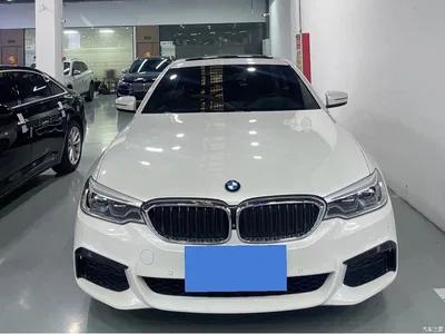 2020 BMW 5 Series 530Li Exclusive M Sport Package, фото 1, лот 11564763