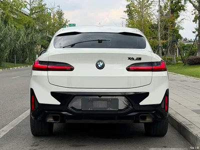 2022 BMW X4 xDrive 30i M Sport Package, фото 4, лот 10476817
