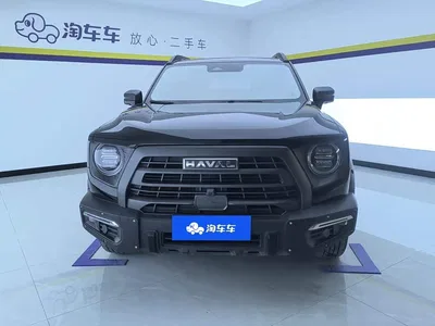 2024 Haval Big Dog 2.0T DCT Chinese Rural Dog Edition, фото 2, лот 10397106
