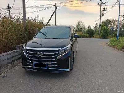 2024 GAC Trumpchi Trumpchi M8 Leadershow Series 390T Luxury Edition, фото 2, лот 10803816