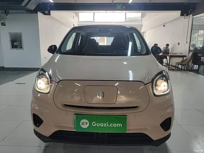 2021 Leapmotor T03 400 Luxury Edition, фото 3, лот 10441950