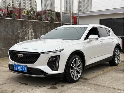 2023 Cadillac GT4 25T Luxury Edition, фото 1, лот 10307238