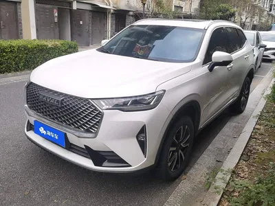 2021 Haval H6 3rd Gen 1.5T Auto 2WD Pro, фото 1, лот 10392106