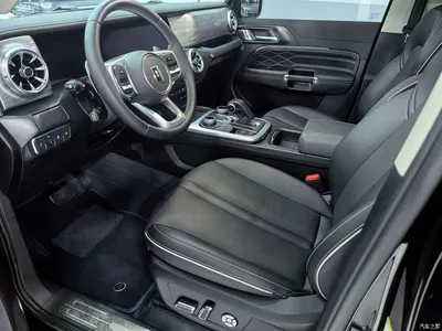 2024 Tank 300 Model 2.0T Challenger, фото 4, лот 10344905