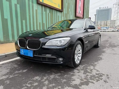 2009 BMW 7 Series 740Li Luxury, фото 1, лот 11011712