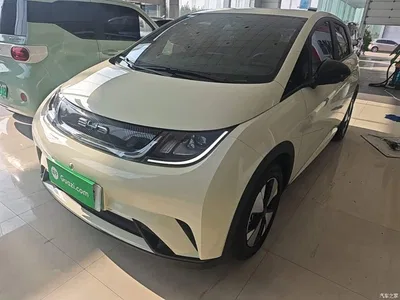 2023 BYD Dolphin 420km Freedom Edition, фото 2, лот 11095889