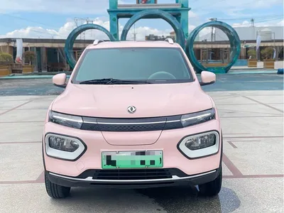 2022 Dongfeng Yipai Nano BOX Wind Chaser Edition 331KM Advanced Type, фото 2, лот 10828917