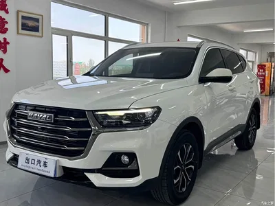 2021 Haval H6 National Trend Edition 1.5T Automatic Urban Edition, фото 1, лот 10281687