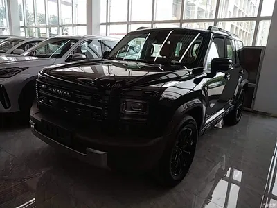 2025 Haval Meng Long NEV Model Base Version, фото 1, лот 11189918