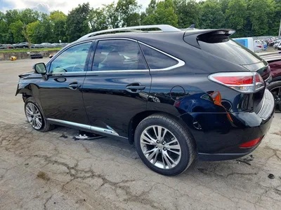 2013 LEXUS RX 450H, фото 2, лот 10846455