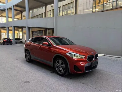 2020 BMW X2 sDrive25i Leading M Sport Package, фото 2, лот 10475684