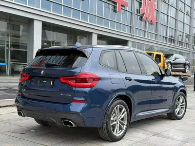 2018 BMW X3 xDrive30i Leading M Sport Package China V, фото 4, лот 10461746
