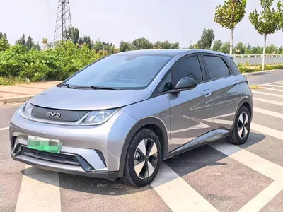2023 BYD Dolphin 420km Fashion Edition, фото 1, лот 10676266